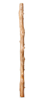 Earl Clements Didgeridoo (EC333)